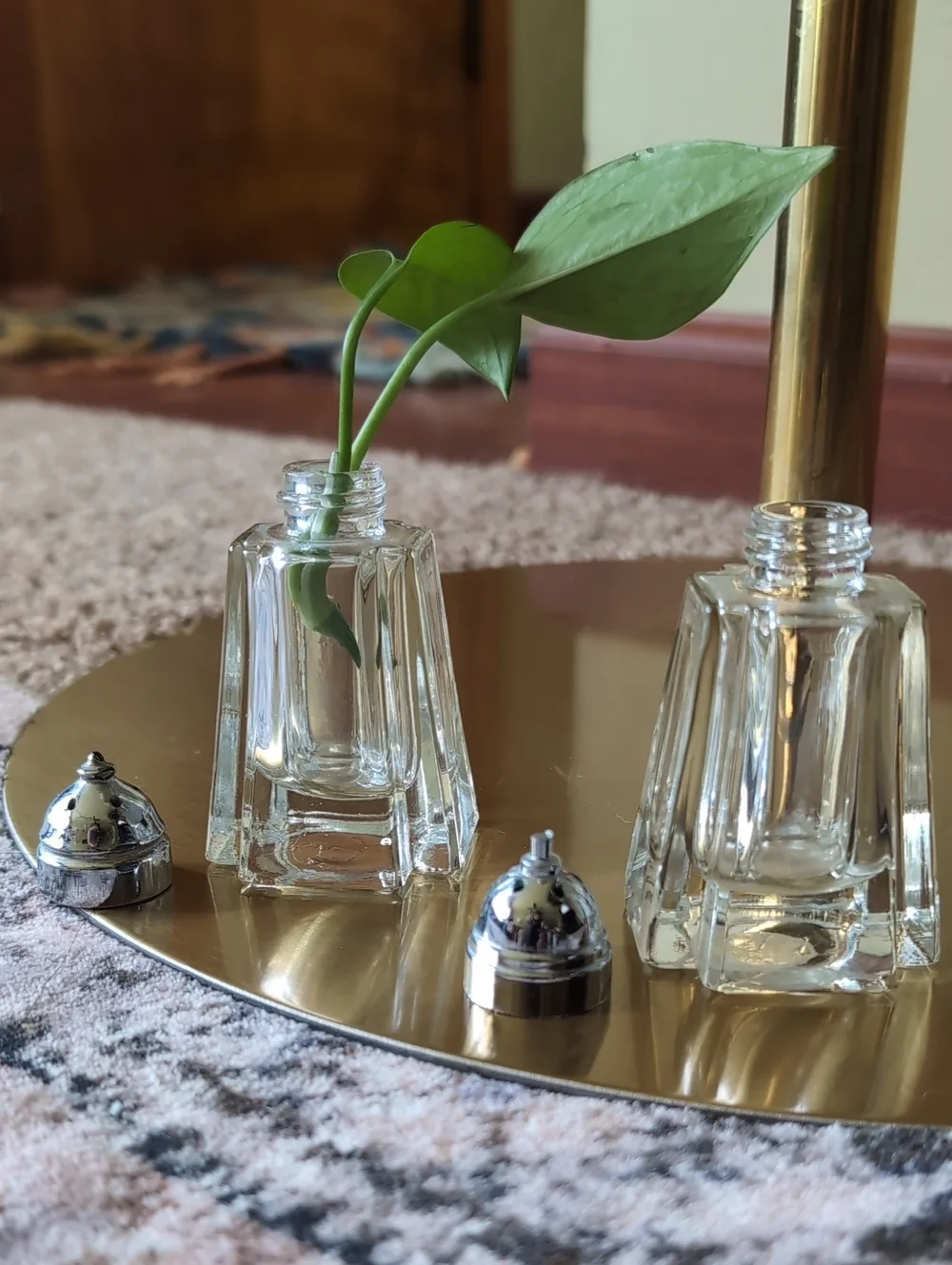 Salt and Pepper Shakers